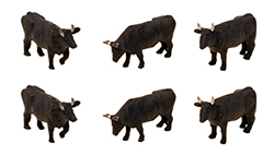 282877 ザ・動物106 和牛