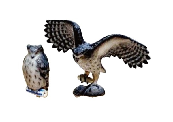 6-609 1/87 シマフクロウ