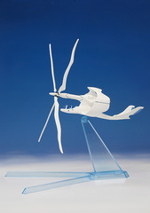 CWF-1 CWFシリーズ №.1 ヴェラシーラ