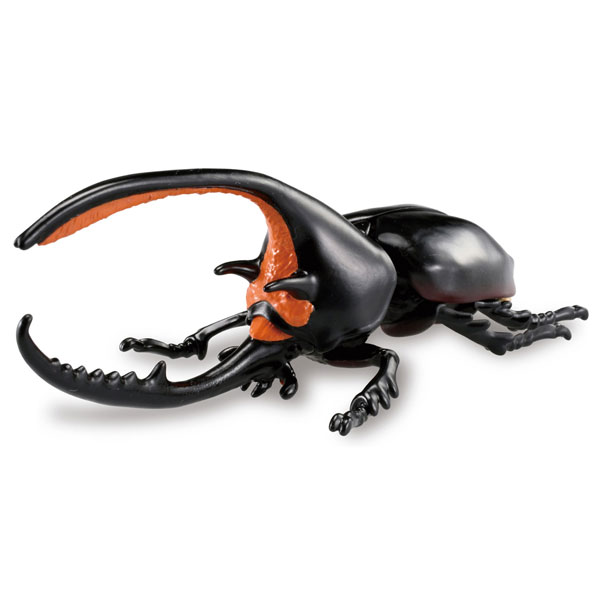 アニア AL-39 ネプチューンオオカブト