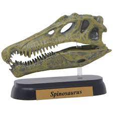 73503 FDW-503 スピノサウルス スカル ミニモデル