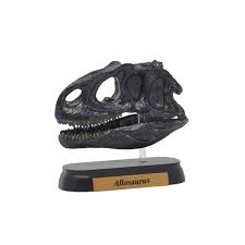 73505 FDW-505 アロサウルス スカル ミニモデル