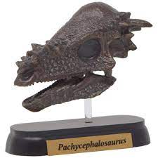 73508 FDW-508 パキケファロサウルス スカル ミニモデル