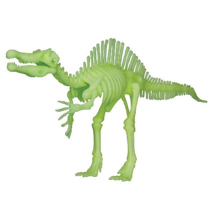 グロー恐竜骨格 スピノサウルス