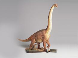 ブラキオサウルス情景セット