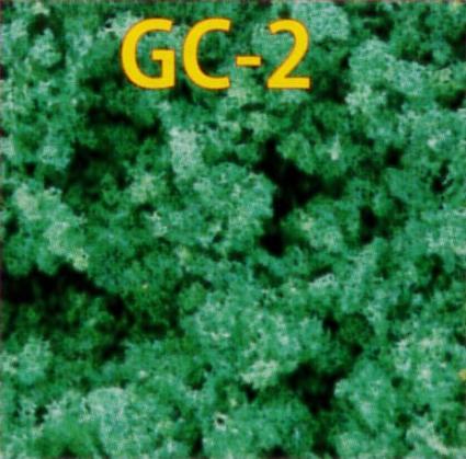 GC-2 NEWグランドカバ- 夏の緑