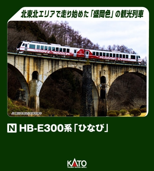 10-1917 HB-E300系「ひなび」 2両セット