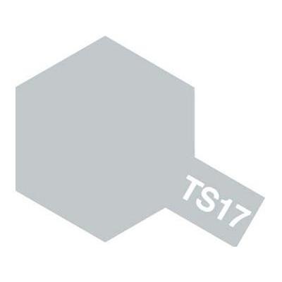 TS017 アルミシルバー