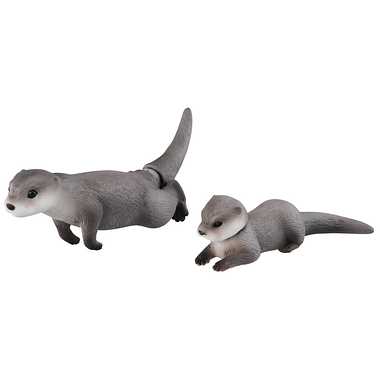 アニア AS-15 ユーラシアカワウソ
