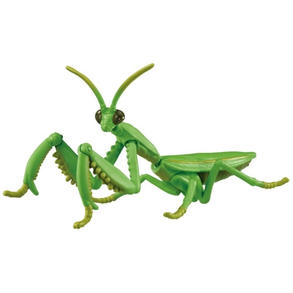 アニア AL-32 オオカマキリ