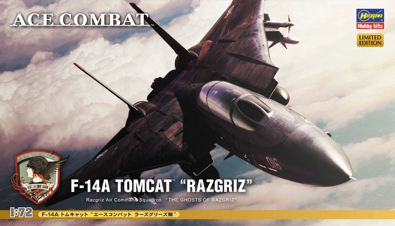 SP313 1/72 F-14A トムキャット「エースコンバット ラーズグリース隊」