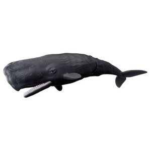 アニア AL-34 マッコウクジラ(水に浮くVer.)