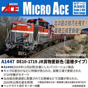 A1447 DE10-1719 JR貨物更新色(苗穂タイプ)