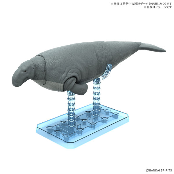 08 プラノサウルス ステラーカイギュウ