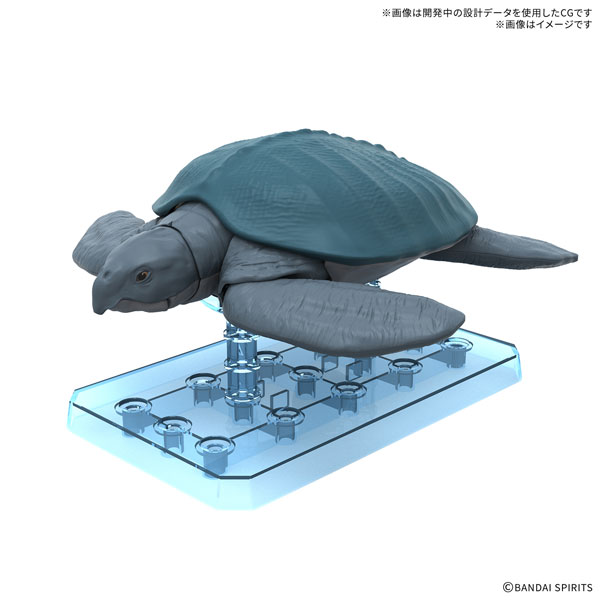 09 プラノサウルス アーケロン