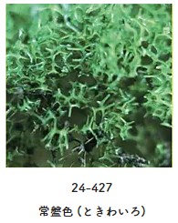 24-427 木の葉 常盤色(ときわいろ)